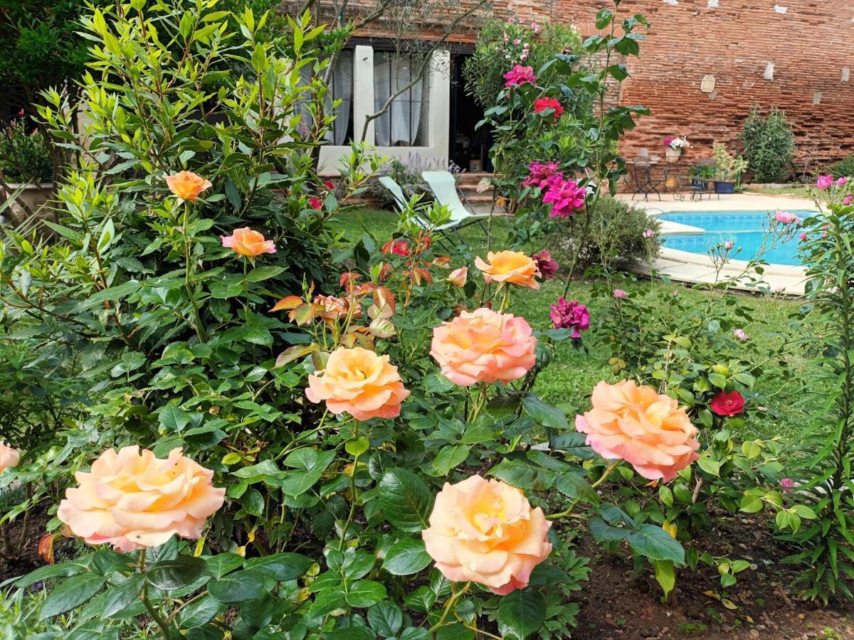 L'Arche De Moissac Bed & Breakfast ภายนอก รูปภาพ